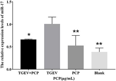 Effect of miR-17 on Polygonum Cillinerve polysaccharide against transmissible gastroenteritis virus